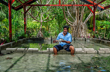 The primary caretaker for the turtle nursery is Sayafrin (above holding a baby green turtle). Sayafrin started out as a Wakatobi dive assistant 7 years ago and is now one of the resort’s supply managers.   Photo by Didi Lotze