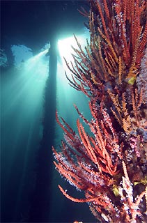 Busselton Jetty