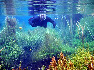 Between the ponds