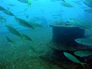 HMAS Brisbane - bow anchor winch