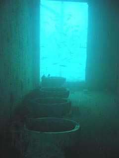 HMAS Brisbane - bathroom facilities