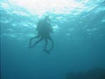 SCUBA diving - Waiting down below.