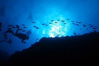 Osprey Reef silhouette