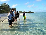 Fish feeding at the Fish Pool, Lady Elliot Island