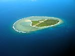 Lady Elliot Island in full glory