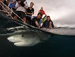 Richard Fitzpatrick tagging Adam at the back of Undersea Explorer