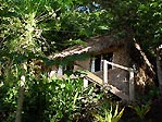 Bure in garden setting at Matava, Kadavu, Fiji