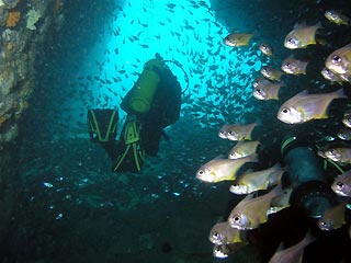 Fish Rock Cave Exit