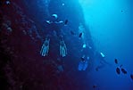 Wall diving at Bunaken, Sulawesi, Indonesia