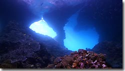 Boo Windows - diving from the Arenui at Raja Ampat, West-Papua, Indonesia.