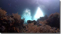 Boo Windows dived from the Misool Eco Resort. Raja Ampat, West Papua, Indonesia.