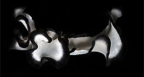 Flatworm at Surface