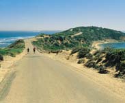 Point Nepean National Park - Photo courtesy of Tourism VIC