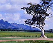 Flinders Ranges - Image courtesy of Australia Tourism