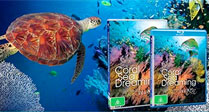 Coral Sea Dreaming - Awaken